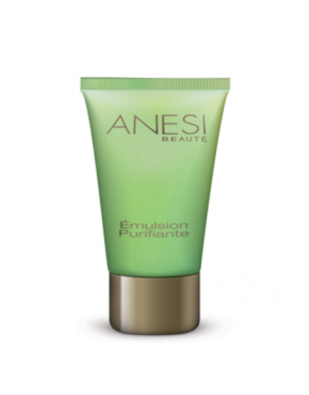 ANESI DERMO CONTROL MOISTURISER